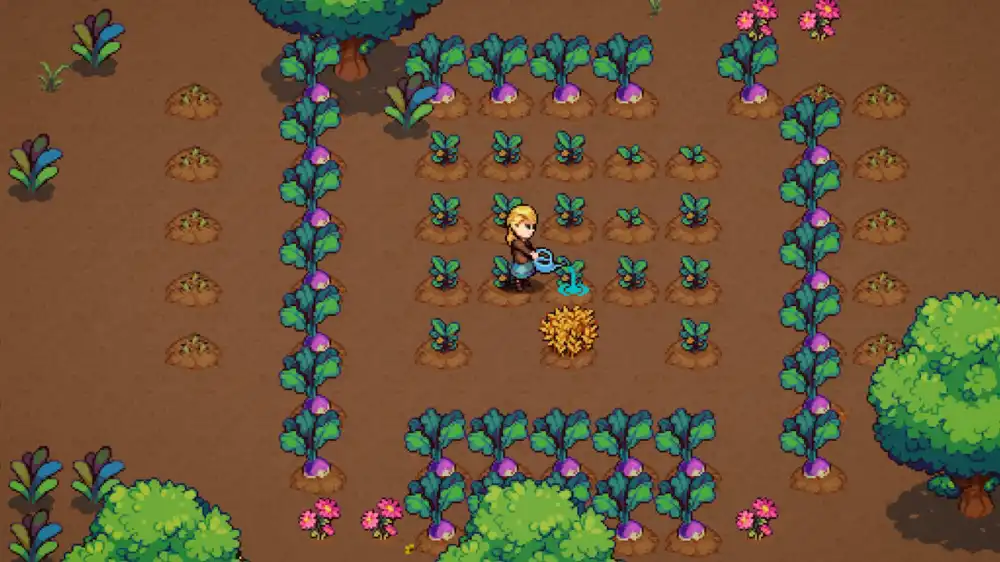 [Switch] 牧场物语：橙色季节 Orange Season [XCI/NSP][中文]