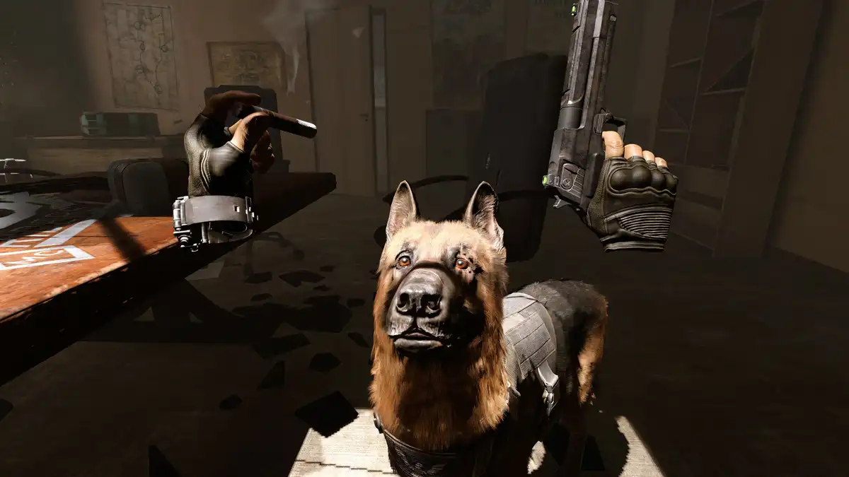 [PS5 VR2] 亚利桑那阳光 2 Arizona Sunshine 2 (PPSA17011) [01.012]