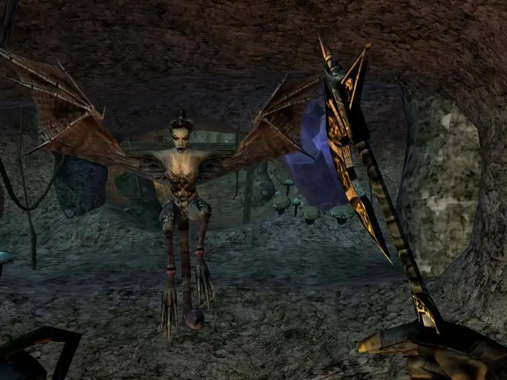 上古卷轴 3：晨风 The Elder Scrolls III：Morrowind (2002) PC (1.6.18.20+10个DLC) [ReBuild, 28.06.26, Mod]